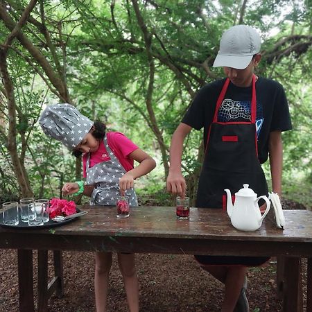 Nature'S Nest Eco Resort Goa, Near Dudhsagar Waterfalls Molem Ngoại thất bức ảnh
