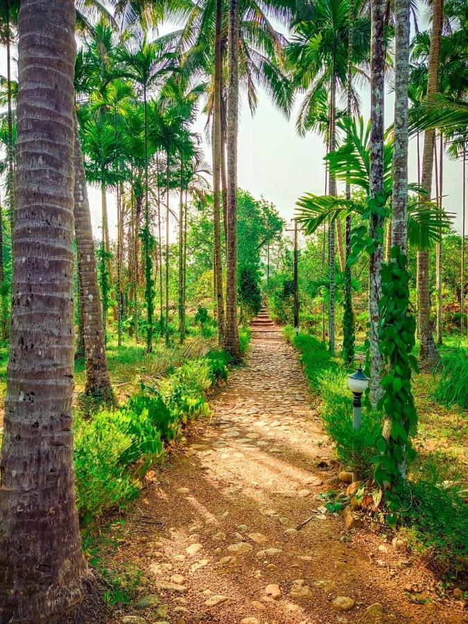 Nature'S Nest Eco Resort Goa, Near Dudhsagar Waterfalls Molem Ngoại thất bức ảnh