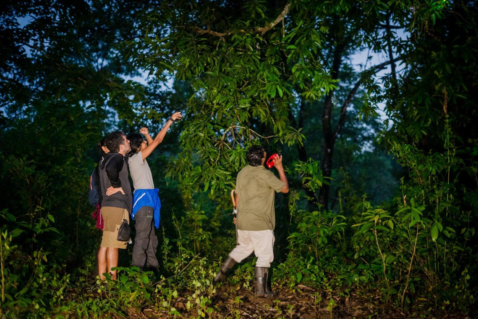 Nature'S Nest Eco Resort Goa, Near Dudhsagar Waterfalls Molem Ngoại thất bức ảnh
