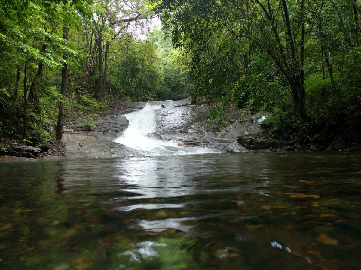Nature'S Nest Eco Resort Goa, Near Dudhsagar Waterfalls Molem Ngoại thất bức ảnh